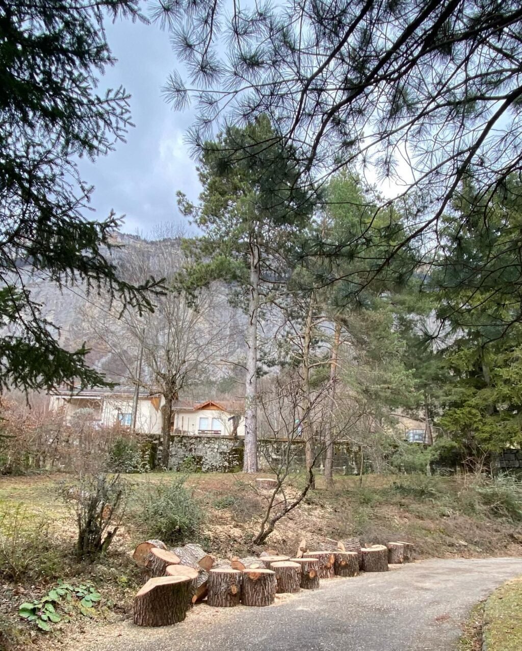 Instagram post from des_racines_a_la_cime. This post is in position 3.