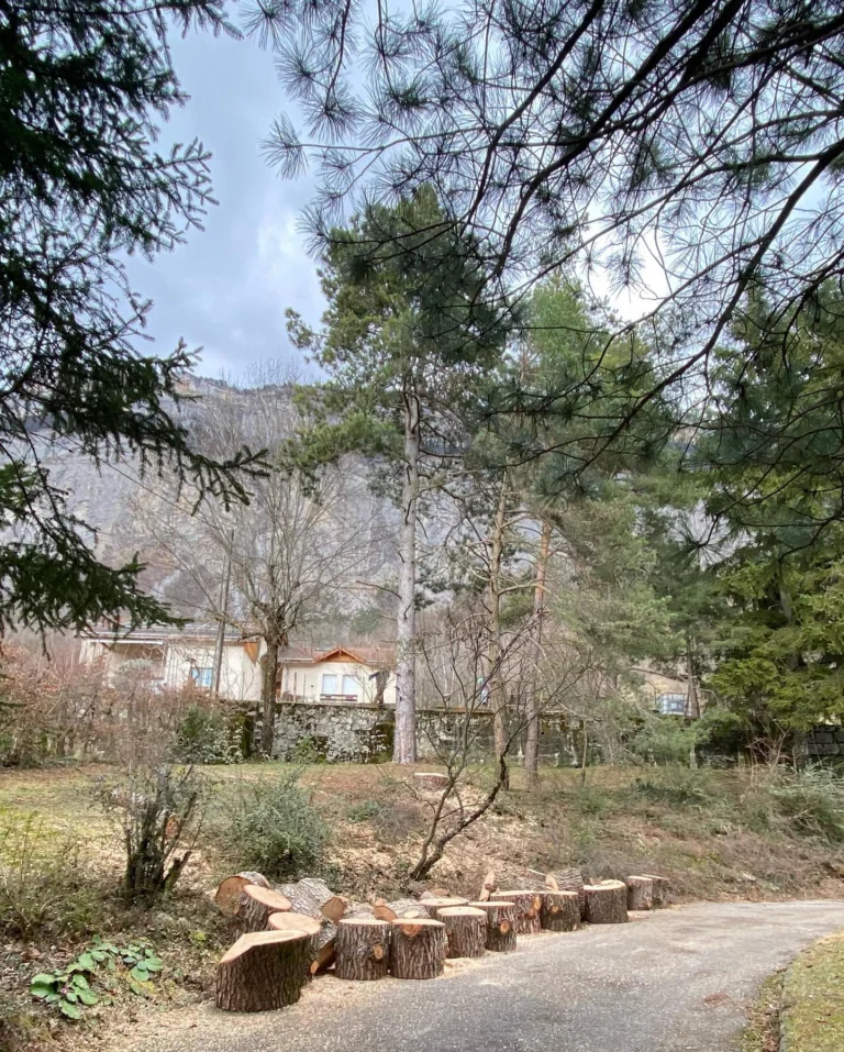 Instagram post from des_racines_a_la_cime. This post is in position 3.