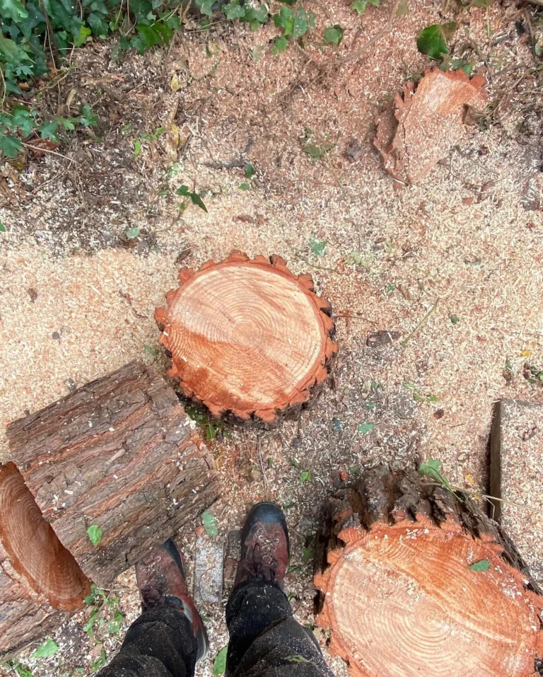 Instagram post from des_racines_a_la_cime. This post is in position 18.