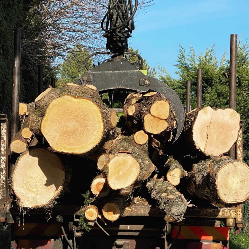 Instagram post from des_racines_a_la_cime. This post is in position 5.