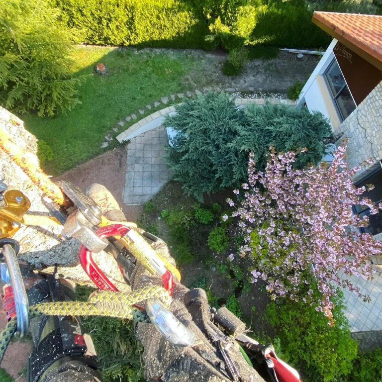 Instagram post from des_racines_a_la_cime. This post is in position 5.