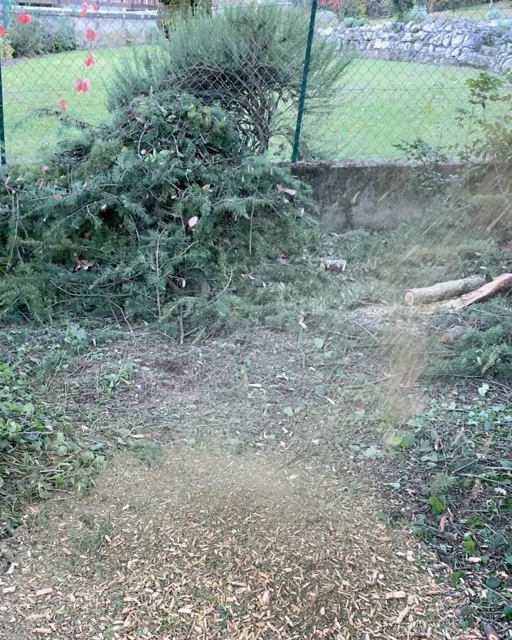 Instagram post from des_racines_a_la_cime. This post is in position 4.