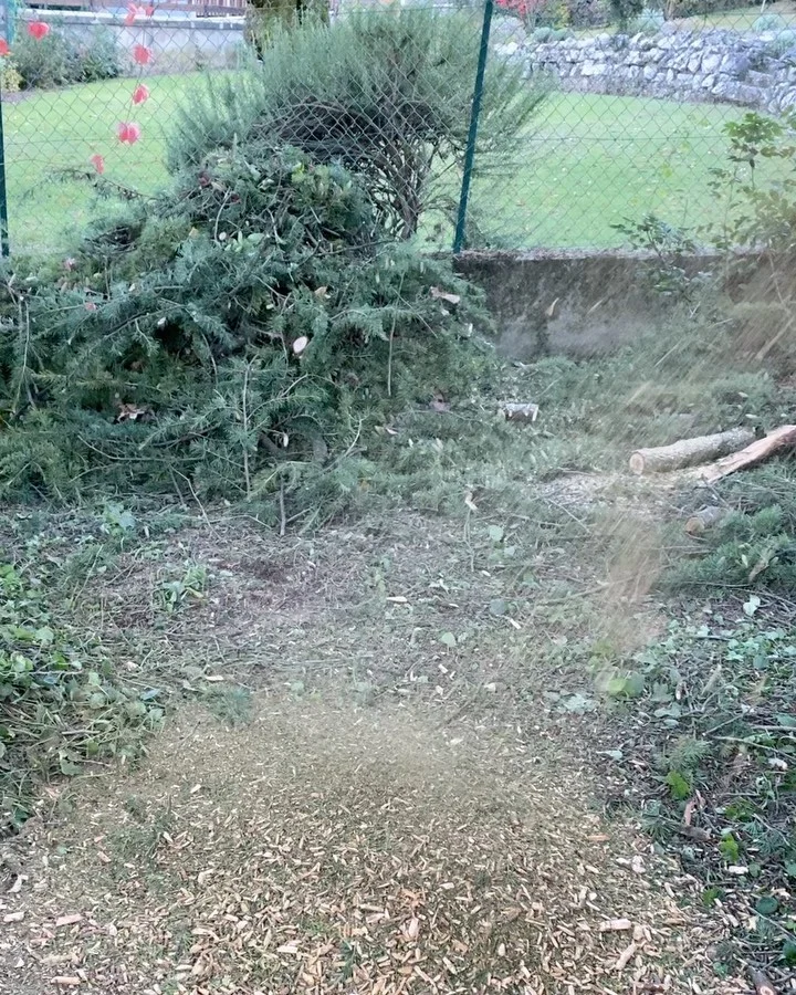 Instagram post from des_racines_a_la_cime. This post is in position 4.