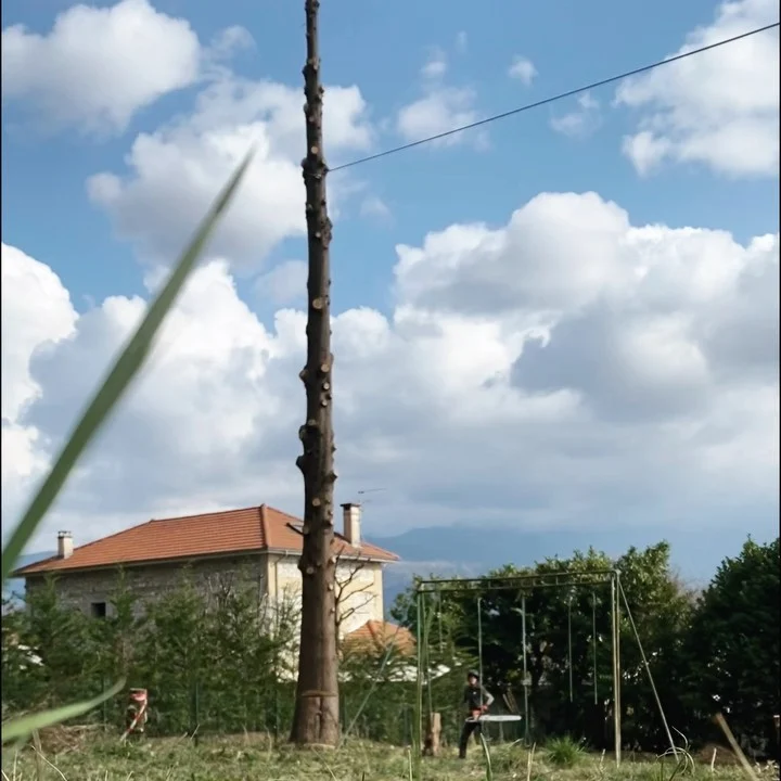 Instagram post from des_racines_a_la_cime. This post is in position 2.