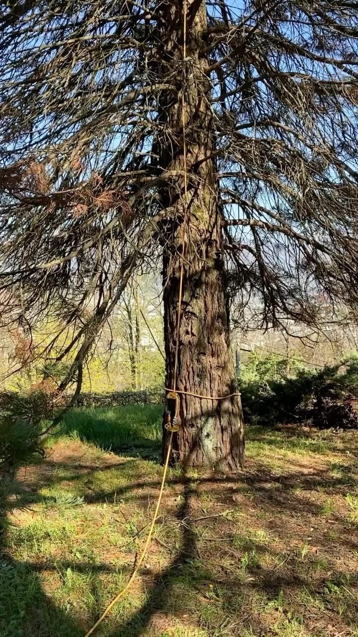 Instagram post from des_racines_a_la_cime. This post is in position 2.