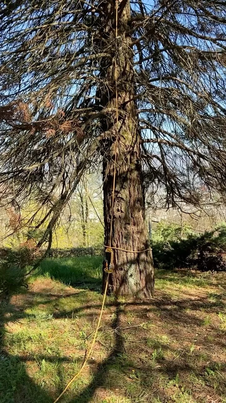 Instagram post from des_racines_a_la_cime. This post is in position 2.