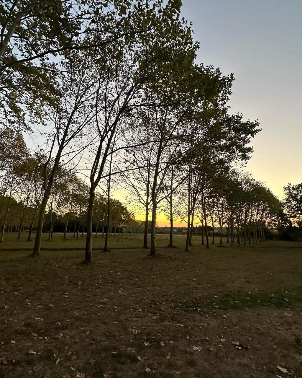 Instagram post from des_racines_a_la_cime. This post is in position 5.